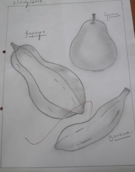 फलों का दृश्य, A View Of Fruits Pencil Art
