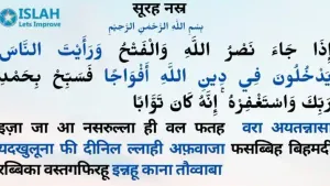 Surah Nasr in Hindi
