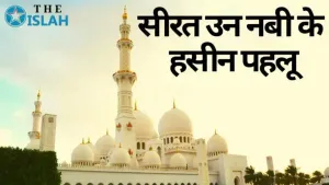 Seerat Un Nabi In Hindi