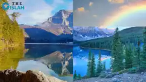 अल्लाह की कुदरत और अल्लाह की नेमतें