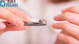 नाखून काटने का सुन्नत तरीका। Nakhun Katne ka Sunnat Tarika